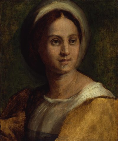 Retrato de uma jovem mulher de Andrea del Sarto