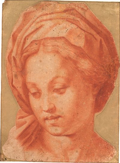 Madona Borghese de Andrea del Sarto