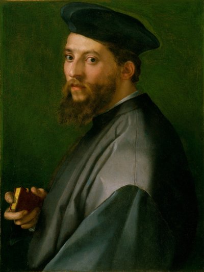 Retrato de um homem de Andrea del Sarto