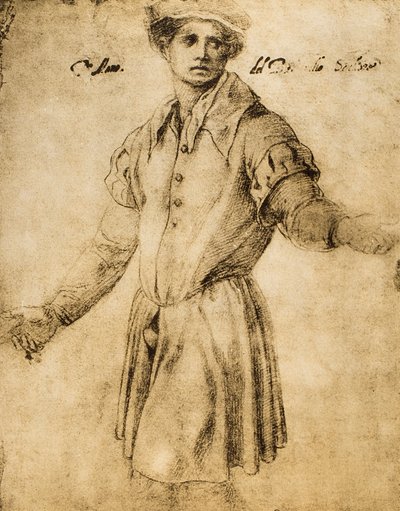 Retrato, de, um, jovem, florentino de Andrea del Sarto