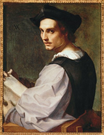 Retrato de um jovem de Andrea del Sarto