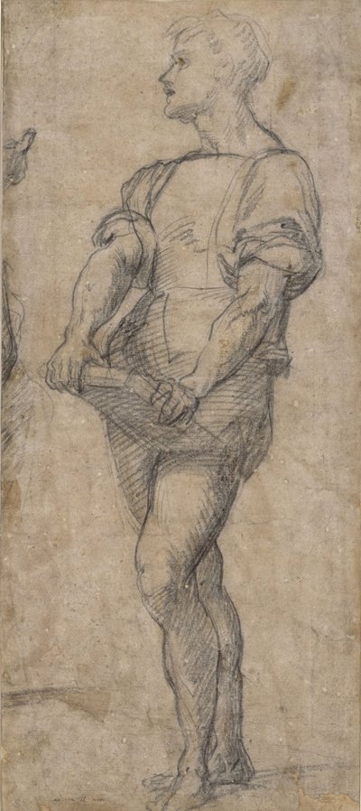 Jovens em pé segurando um livro, ca 1515 de Andrea del Sarto