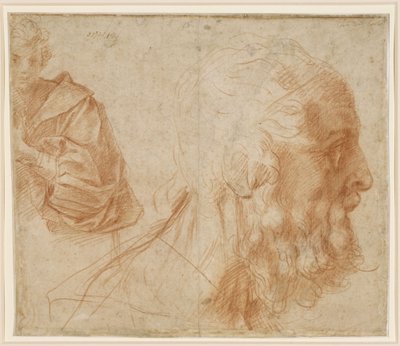 Folha de estudos com um jovem e a cabeça de um velho voltada para a direita (Homero?) de Andrea del Sarto