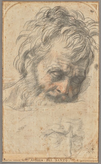 Estudo para a cabeça de São José (anverso); Dois estudos de pernas (verso) de Andrea del Sarto