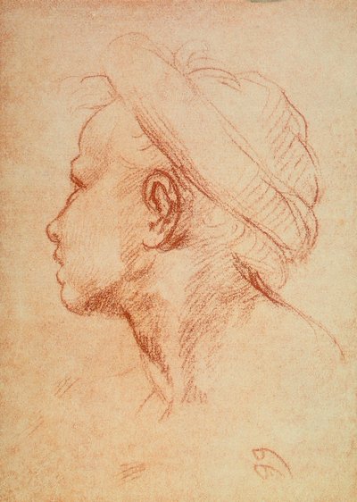 Juventude cabeça no perfil de Andrea del Sarto