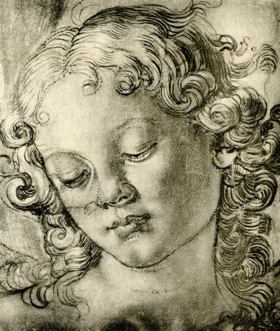 Cabeça de anjo de Andrea del Verrocchio