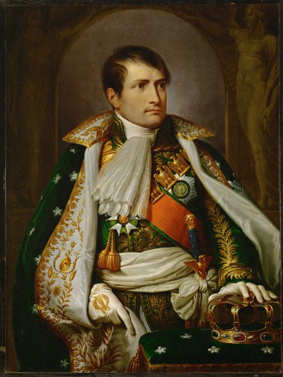 Napoleão Bonaparte de Andrea the Elder Appiani