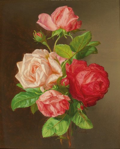 Rosas de Andreas Lach