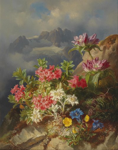 Natureza morta com flores alpinas de Andreas Lach