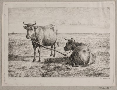 Dinamarquês: Duas vacas interligadas de Andreas Peter Madsen
