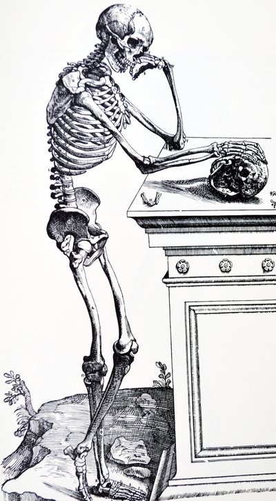 Esqueleto humano com crânio na mão. De "De Humani Corporis Fabrica" de Vesalius. Possível lenhador: Jan von Calcar de Andreas Vesalius