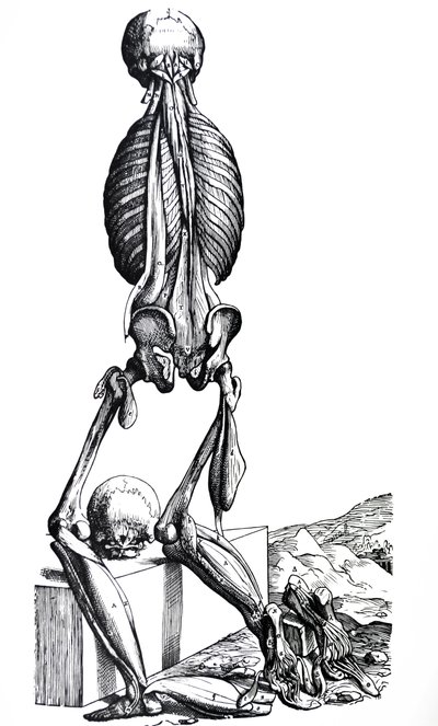 As Placas do Segundo Livro do De Humani Corporis Fabrica de Andreas Vesalius