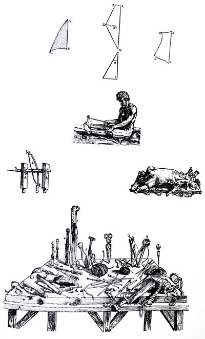 As Placas do Segundo Livro do De Humani Corporis Fabrica de Andreas Vesalius