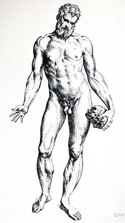 As Placas do Sétimo Livro do De Humani Corporis Fabrica de Andreas Vesalius