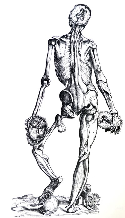 As Placas do Sétimo Livro do De Humani Corporis Fabrica de Andreas Vesalius