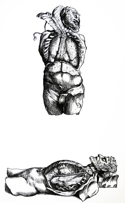 As Placas do Sexto Livro da De Humani Corporis Fabrica de Andreas Vesalius