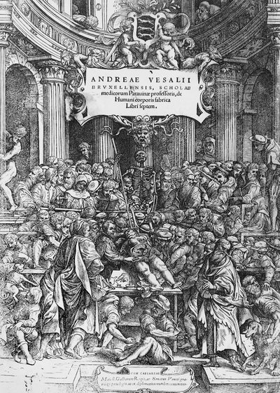 Página de título de De humani corporis fabrica (Latim para Em tecido do corpo humano), onde Andreas Vesalius é representado dissecando cadáver de Andreas Vesalius