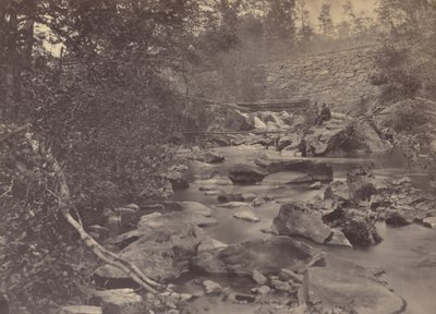 Arlington Mills, 1863 (foto) de Andrew Joseph Russell