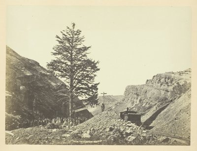 Árvore de Mil Milhas, Passo de Wilhelmina de Andrew Joseph Russell