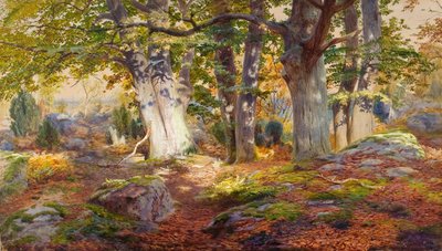 Luz do sol de outono depois da chuva, Fontainebleau (aguarela e cor de corpo sobre papel) de Andrew MacCallum