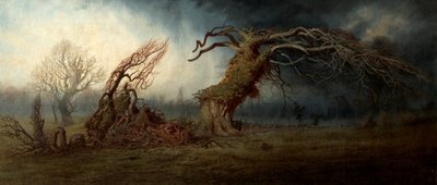 A árvore destruída de Andrew MacCallum