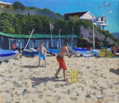 Cricket, e cotos amarelos, Abersoch de Andrew Macara