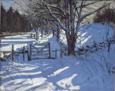 Portão perto de Youlgreave, Derbyshire de Andrew Macara