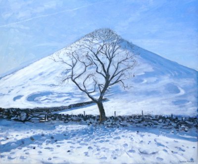 Colina e Árvore, Derbyshire, 2008 de Andrew Macara