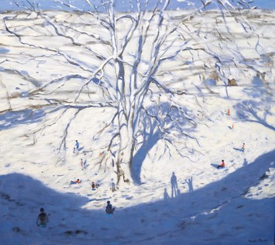 Encosta, elton, perto, Rowsley, 2008 de Andrew Macara