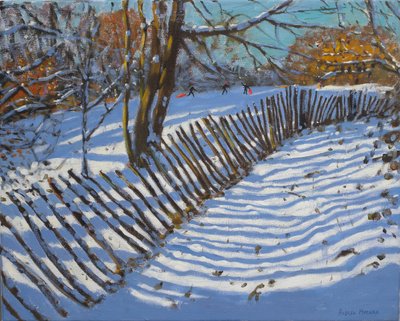 Vedação inclinada, 2011 (óleo sobre tela) de Andrew Macara