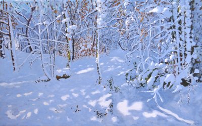 Novembro Snow,Allestree Woods,Derby,(óleo sobre tela) de Andrew Macara