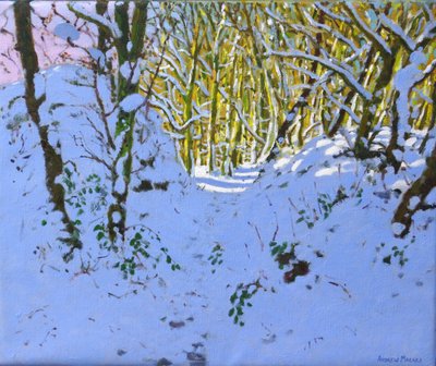 Caminho através da floresta no inverno, Derbyshire,(óleo sobre tela) de Andrew Macara