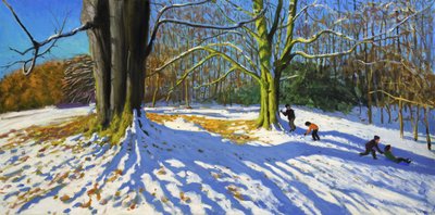 Topo do Allestree Park, 2014 (óleo sobre tela) de Andrew Macara