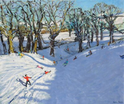 Inverno, Rowsley, Derbyshire, 2014 de Andrew Macara