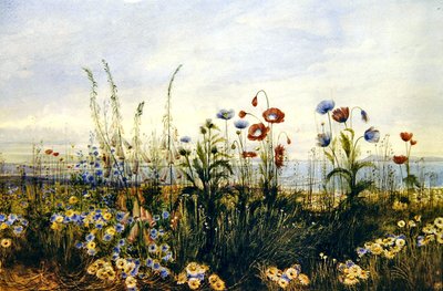 A View of Kingstown and Dublin Bay (aguarela sobre papel) de Andrew Nicholl