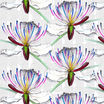 Flores de alcaparras, 2017, aguarela e tinta de Andrew Watson