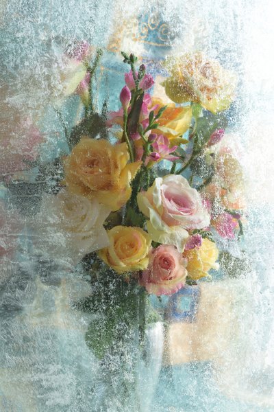 Ramos de rosas com efeito fosco de Andrey Morozov