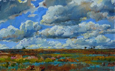 Campo de Big Sky de Andrii Kutsachenko