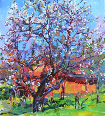 Árvore em flor na primavera de Andrii Kutsachenko