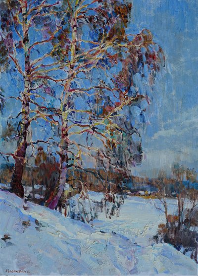Bétulas de Inverno Banhadas pela Luz do Sol de Andrii Kutsachenko