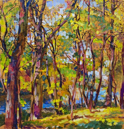 Riacho da floresta no outono colorido de Andrii Kutsachenko