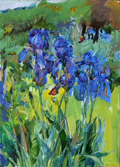 Íris azuis vibrantes de Andrii Kutsachenko