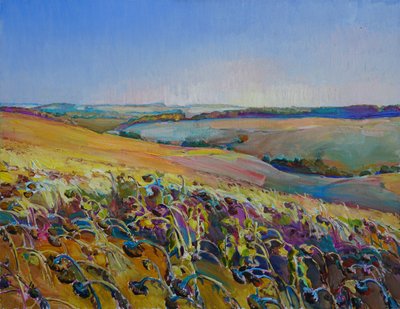 Campos de girassóis coloridos de Andrii Kutsachenko