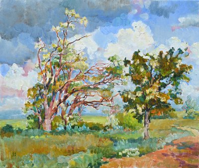 Paisagem rural com árvores coloridas de Andrii Kutsachenko