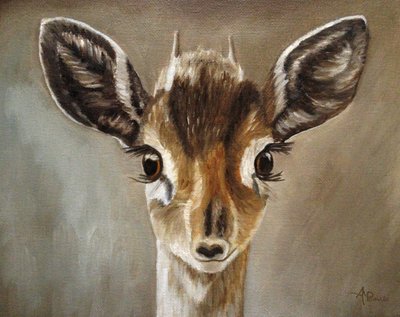 Adorável cervo-dik-dik de Angeles M. Pomata
