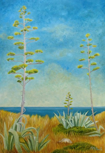 Agave à Beira-Mar de Angeles M. Pomata
