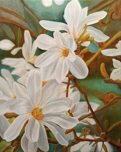Magnólia Branca em Flor de Angeles M. Pomata