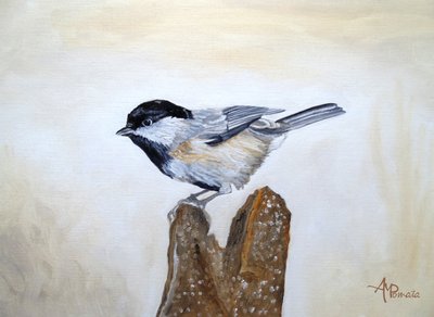 Pássaro da espécie Chickadee num tronco de árvore de Angeles M. Pomata