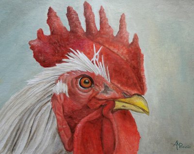 Cabeça de galo colorida de Angeles M. Pomata