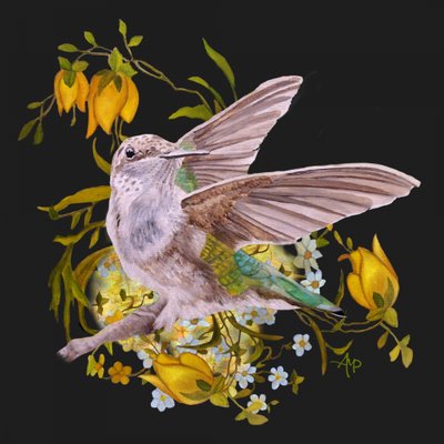 Beija-flor elegante com flores de Angeles M. Pomata